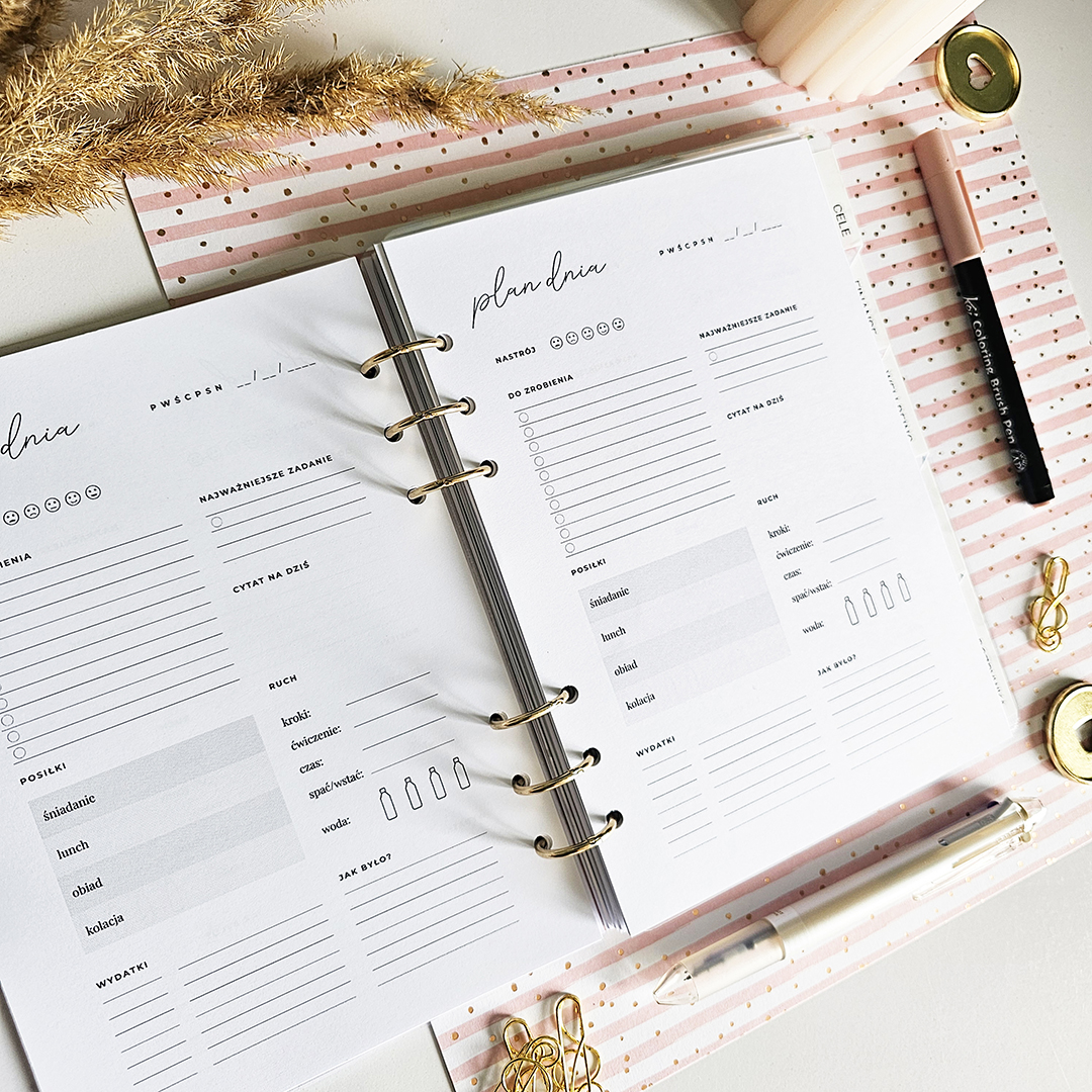 babka-z-planami-planer-dzienny-plan-dnia-niedatowany