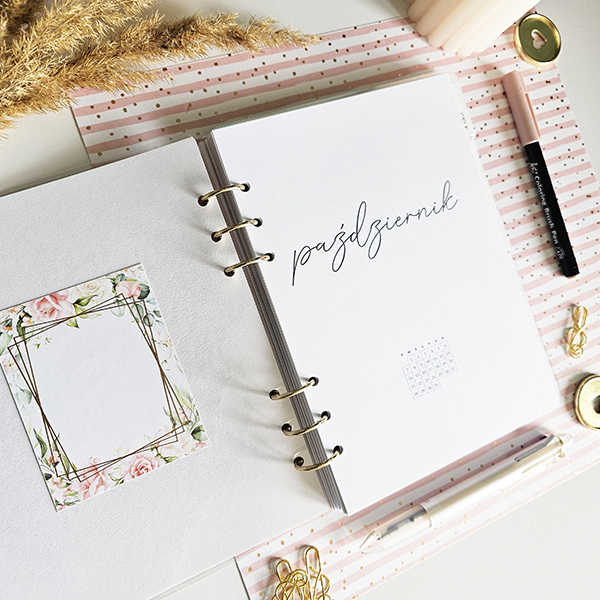 babka-z-planami-planer-ringowy-na-zamowienie-rozowy