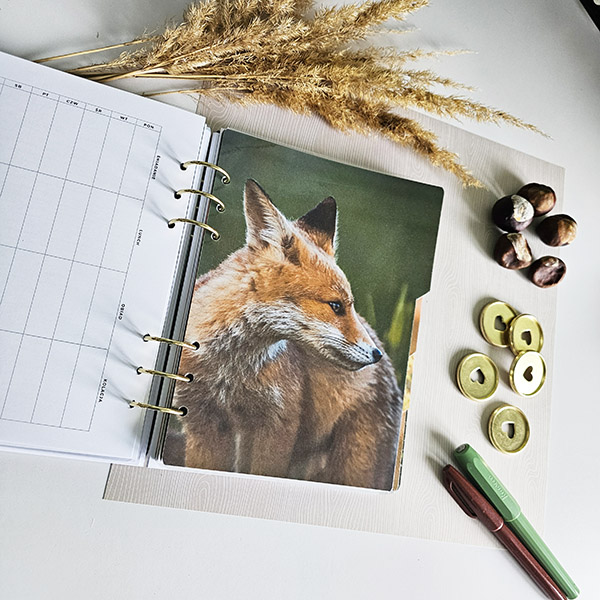 babka-z-planami-planer-ringowy-na-zamowienie