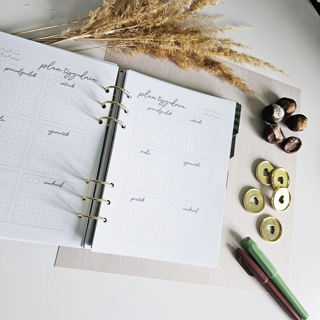 babka-z-planami-planer-tygodniowy-plan-tygodnia-niedatowany