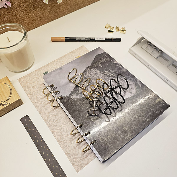 babka-z-planami-ringi