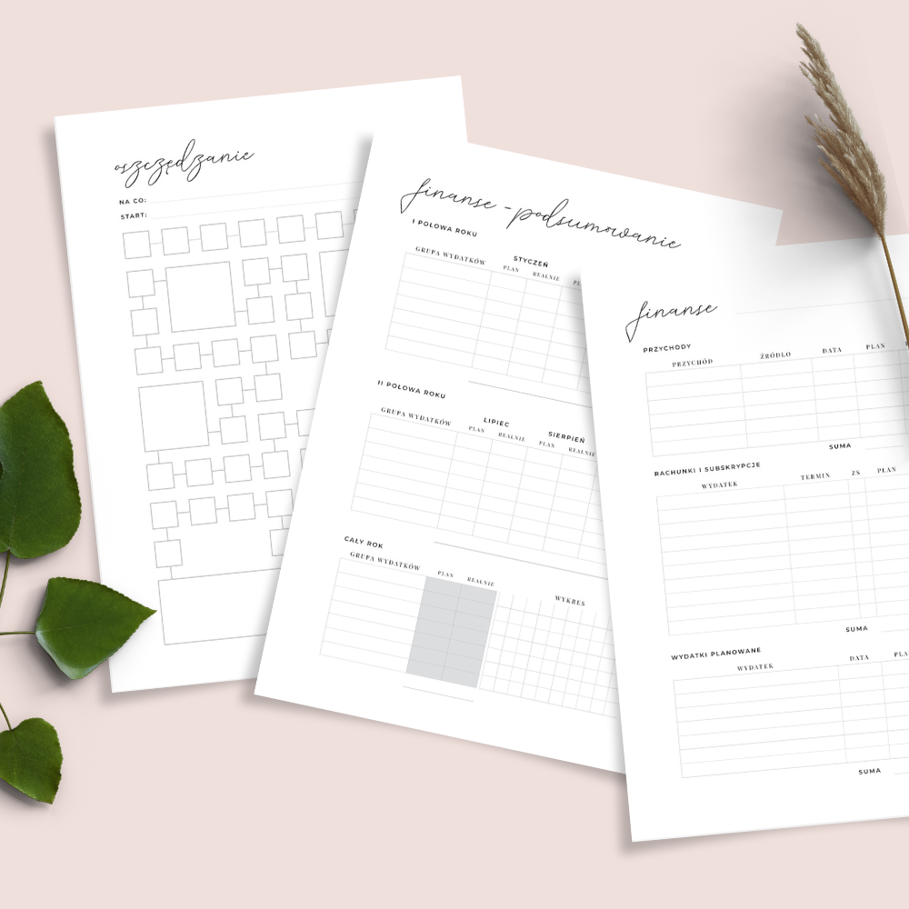 Planer wydatków i finansów