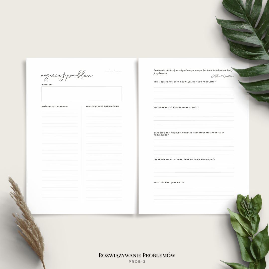 Planer rozwiązywania problemów i podziału zadań - minimalistyczny - 3 warianty - PROB2