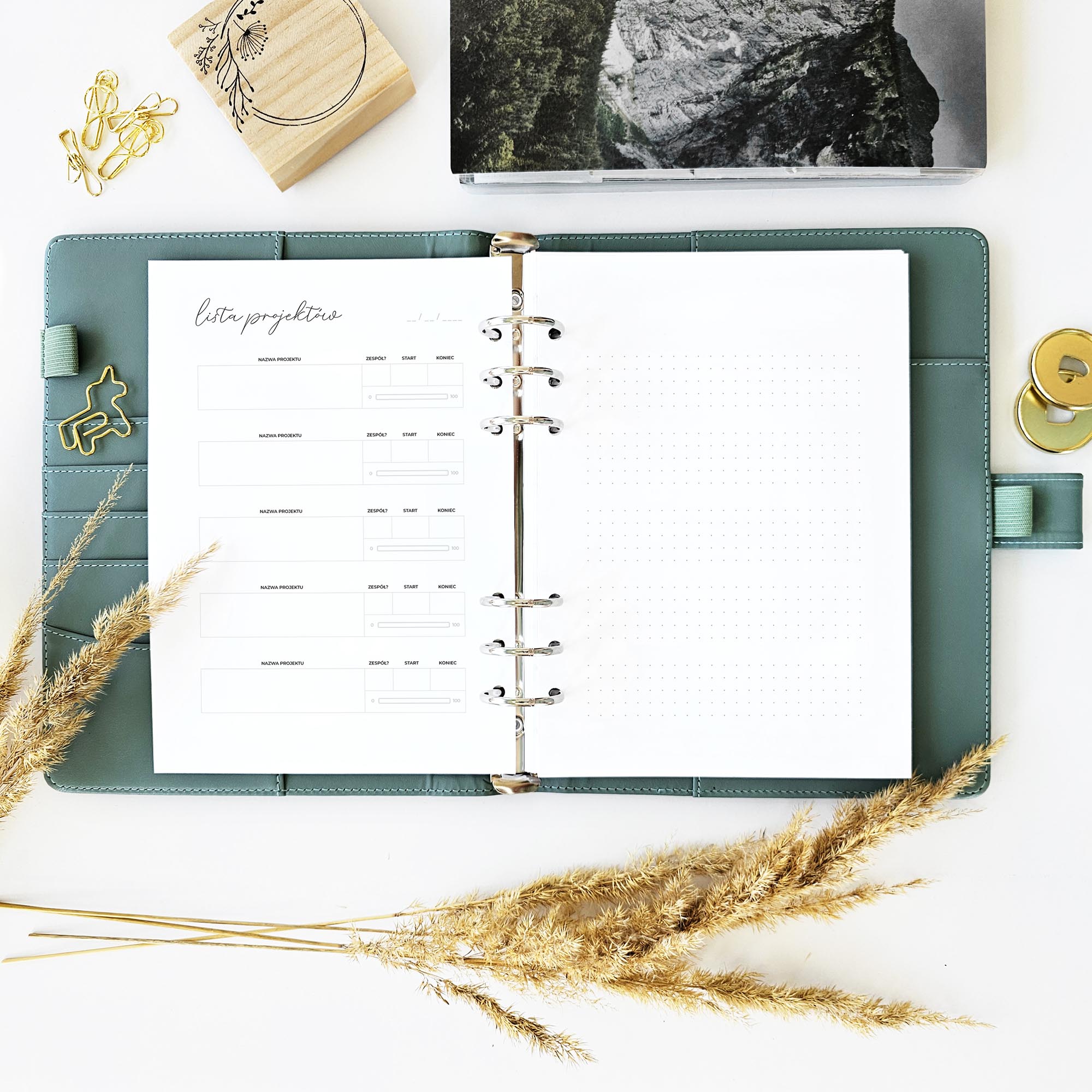 zarzadzanie projektami - lista projektow