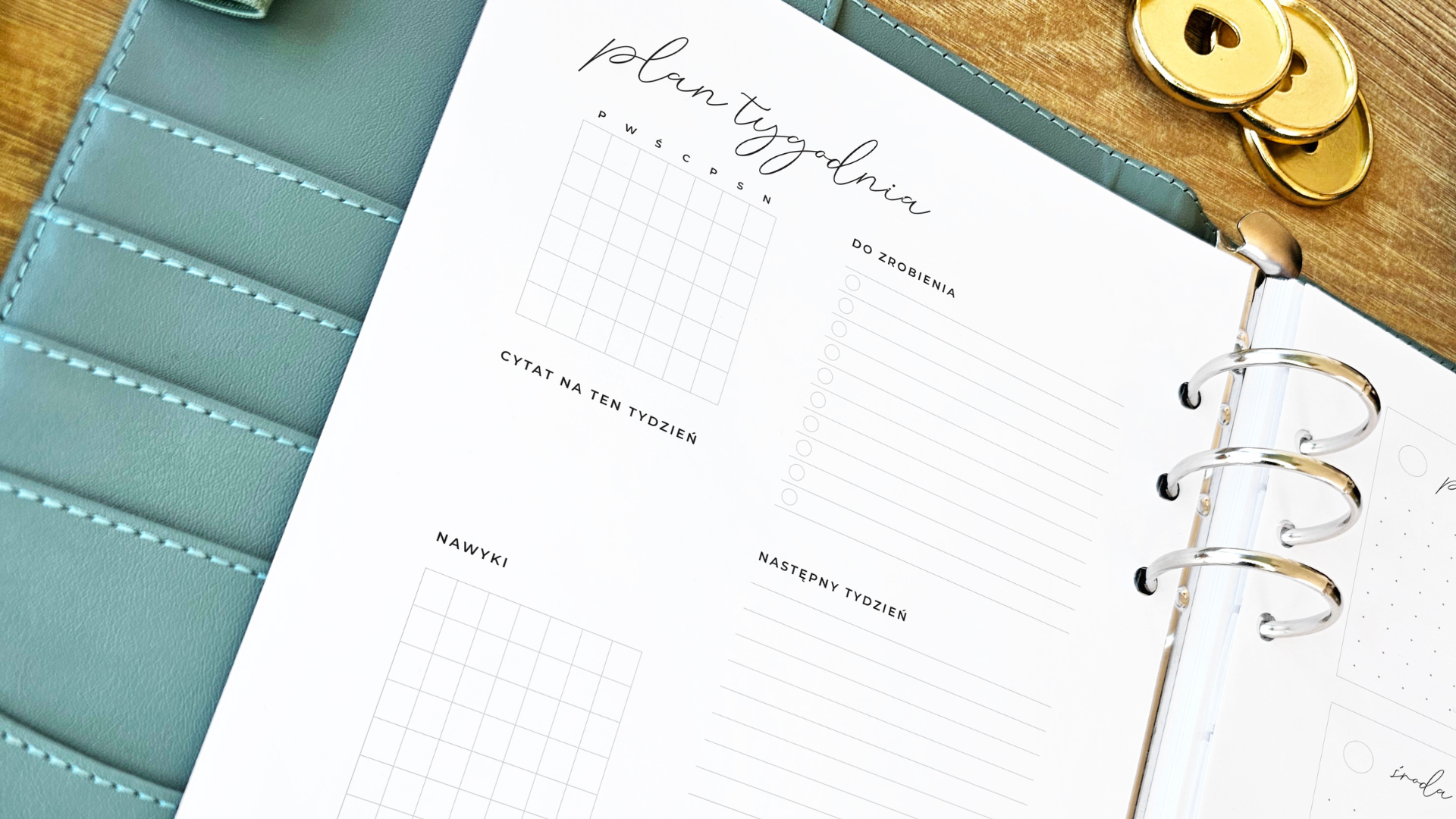 planer tygodniowy w zielonym organizerze