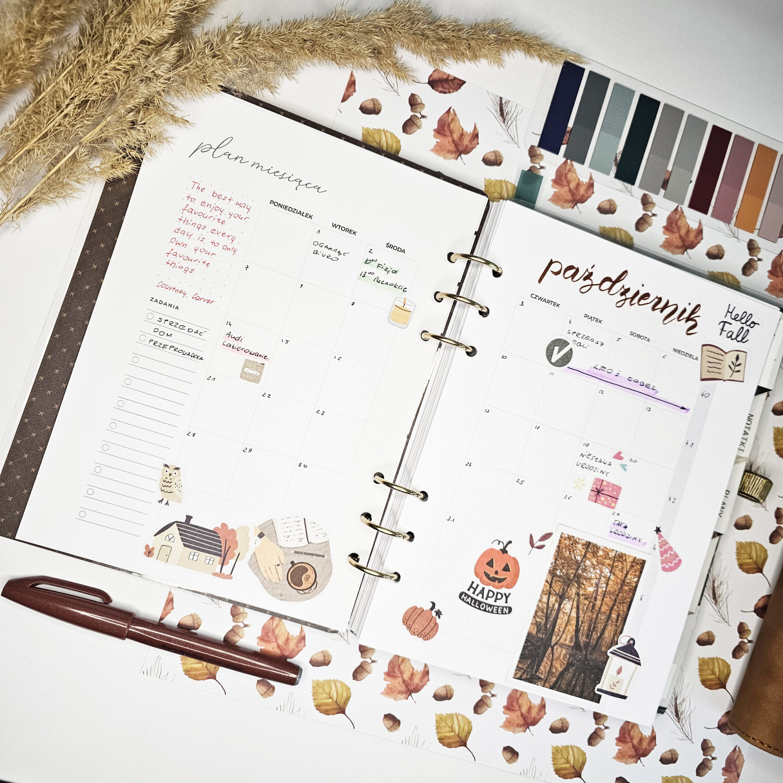 babka-z-planami-plan-miesiaca-wypelniony