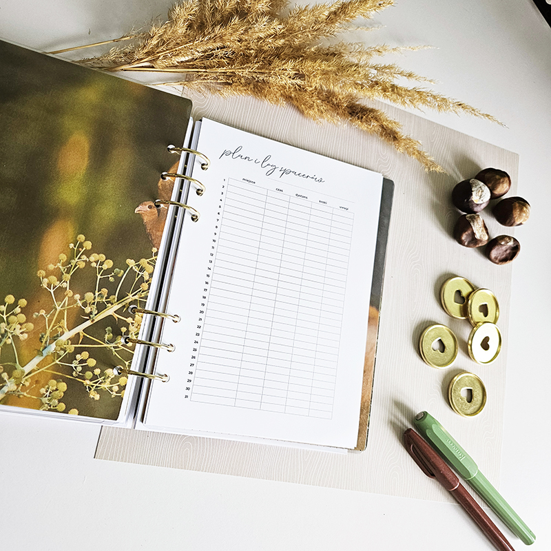 planer-spacerow-log-spacerow