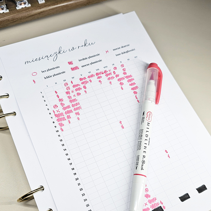 babka-z-planami-tracker-miesiaczki2