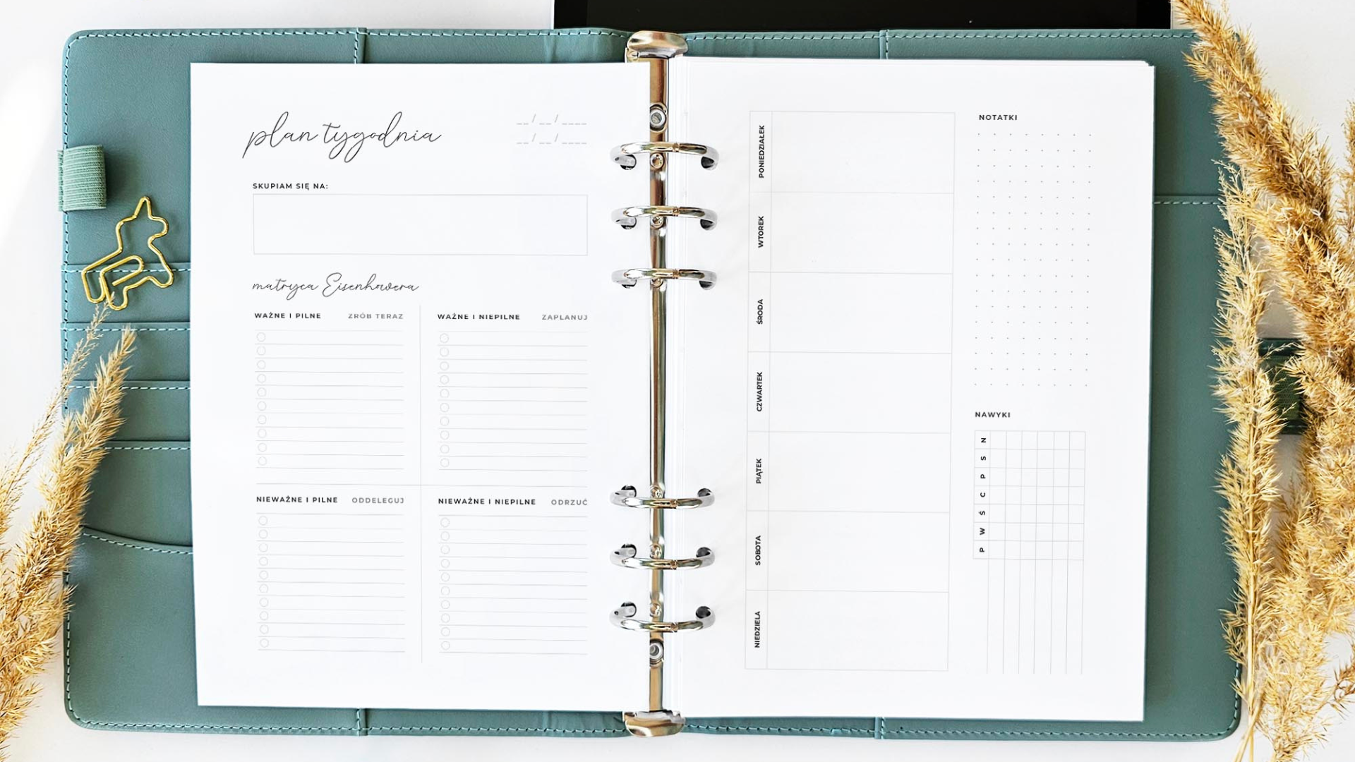 matryca Eisenhowera planer plan tygodnia