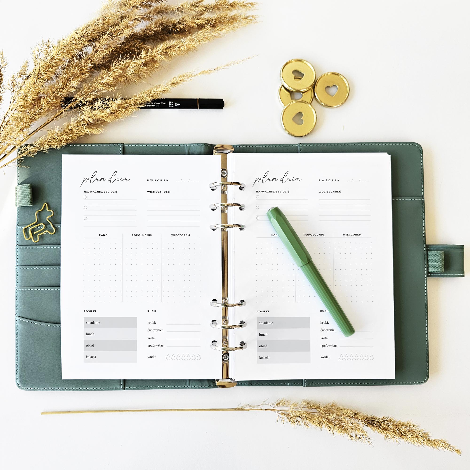 plan dnia - planer dzienny - minimalistyczny - d5 - scena