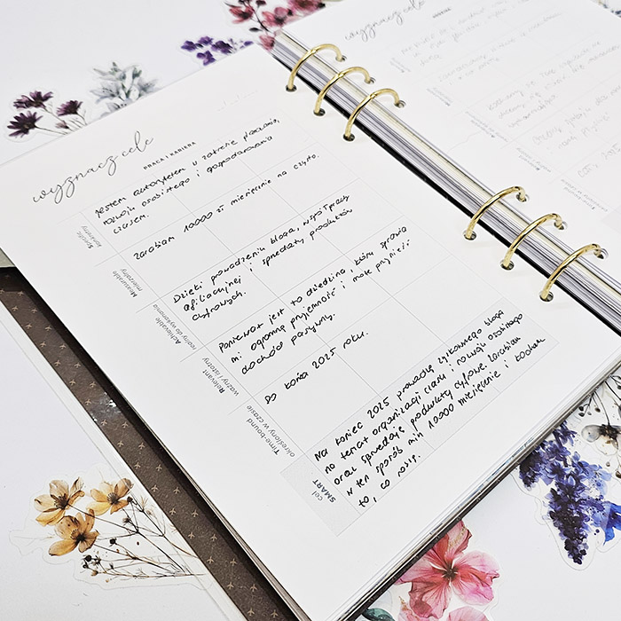 wyznaczanie-celow-cel-praca-i-kariera