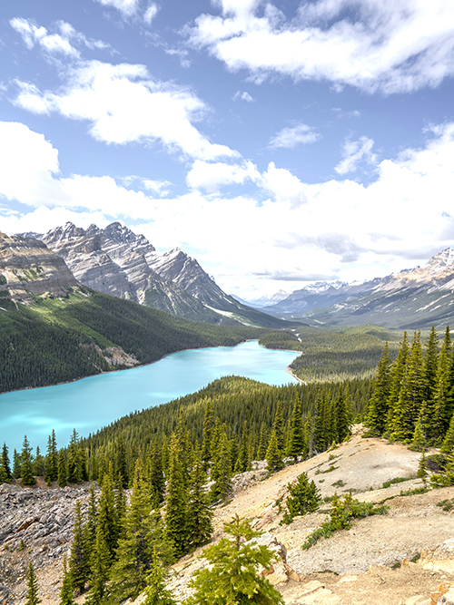 okładka-planera-góry 2