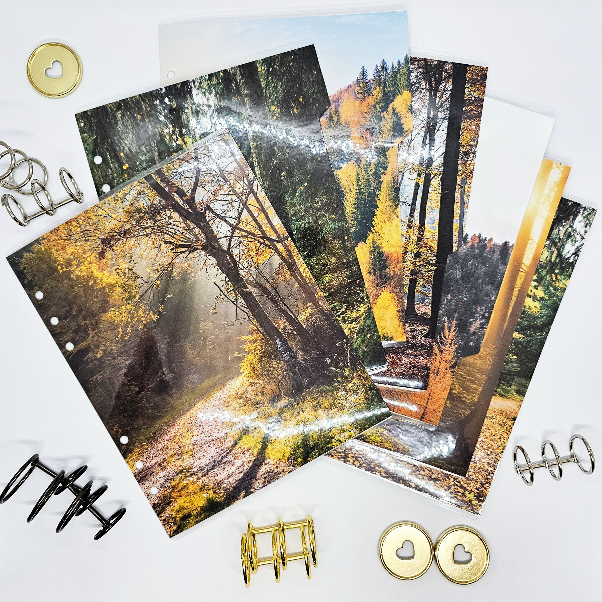 okładka-planera-las-jesienią (1)