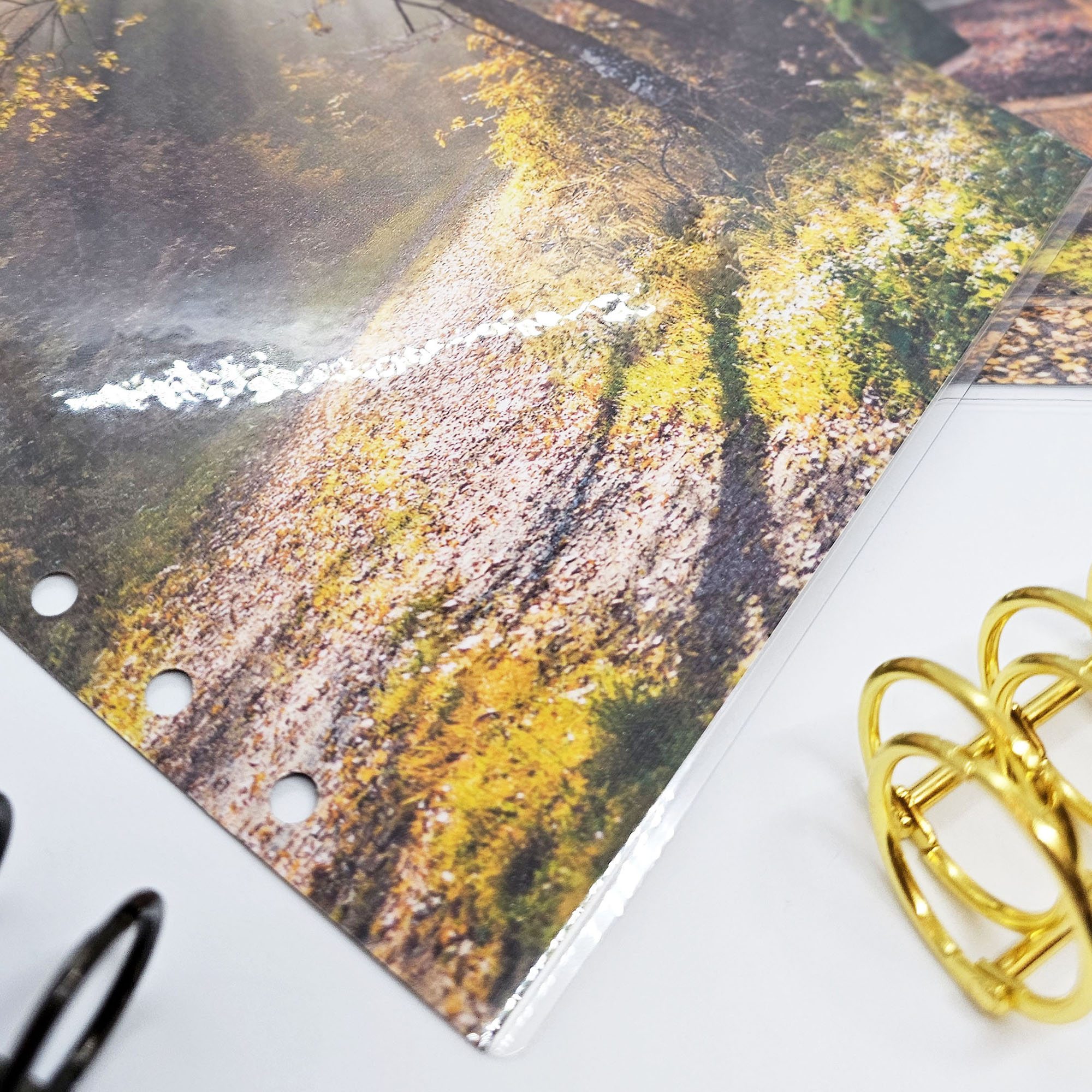 okładka-planera-las-jesienią (3)