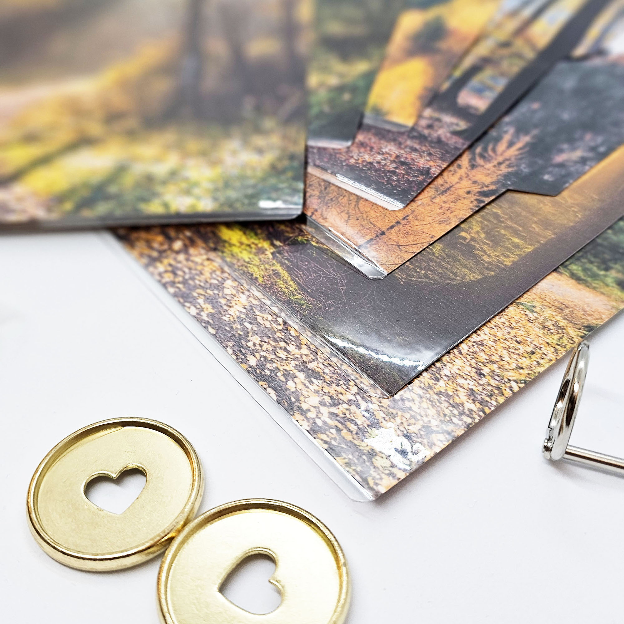 okładka-planera-las-jesienią 4