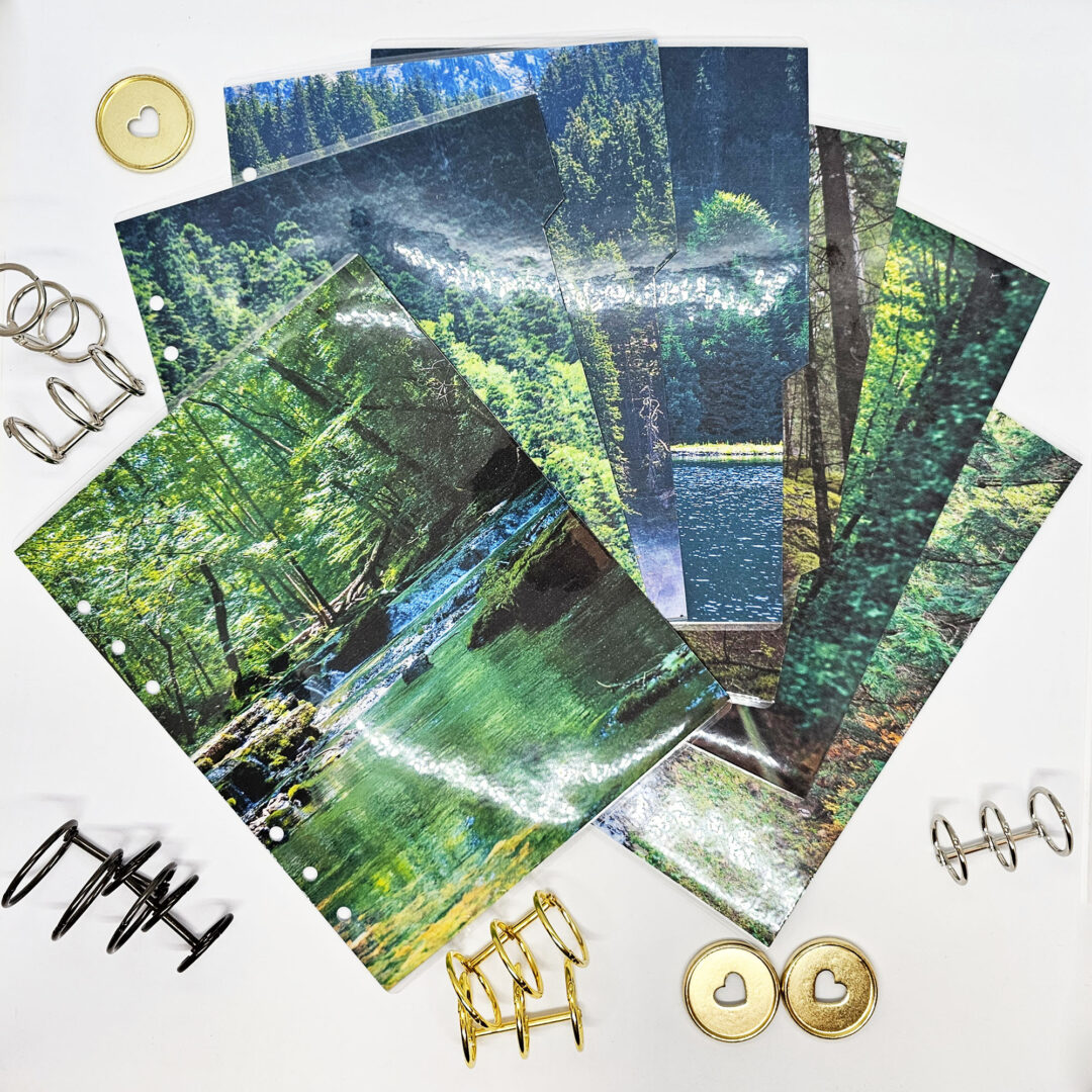 okładka-planera-okładka-las-zielony (1)