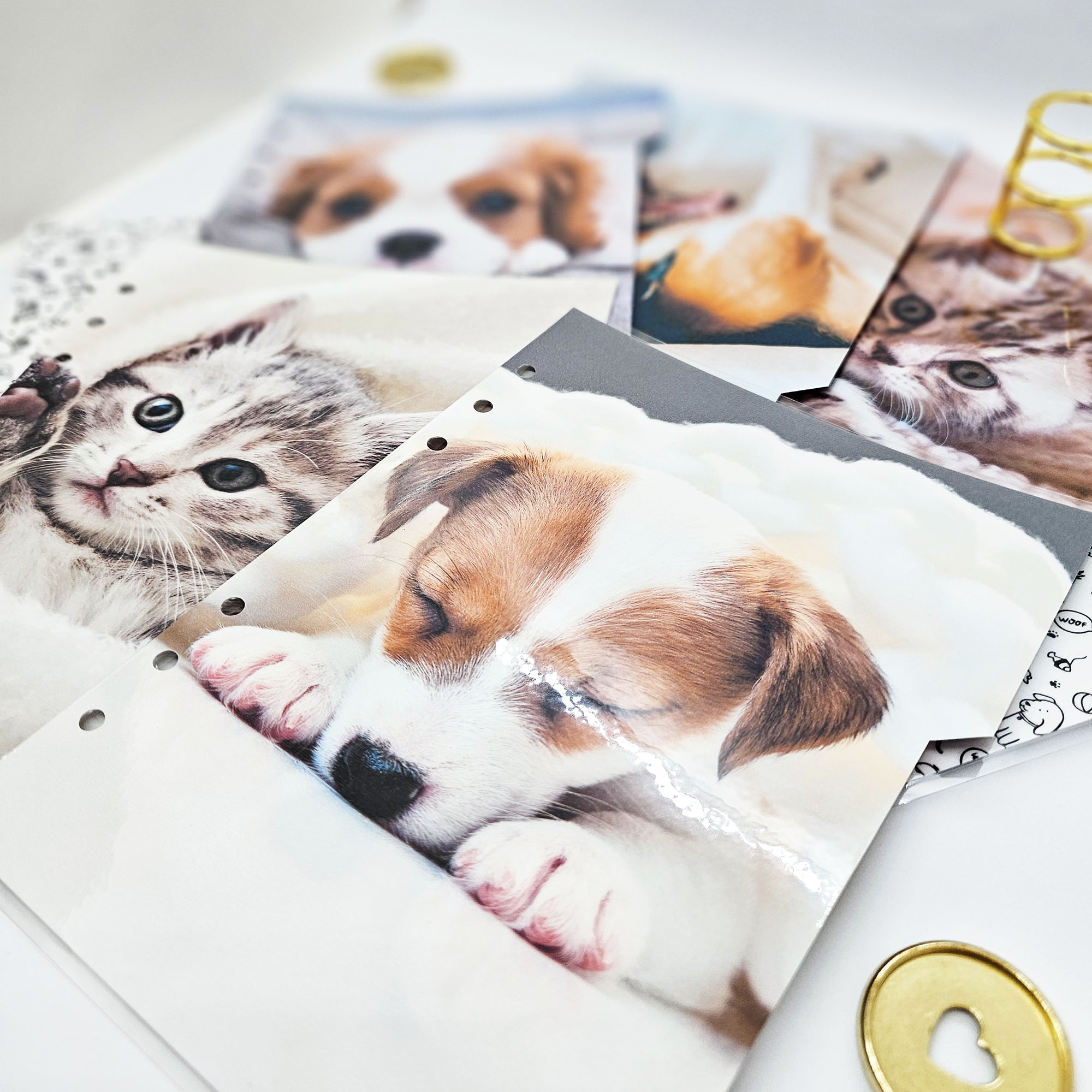 okładka-planera-okładka-pieski-i-kotki-A5 (7)