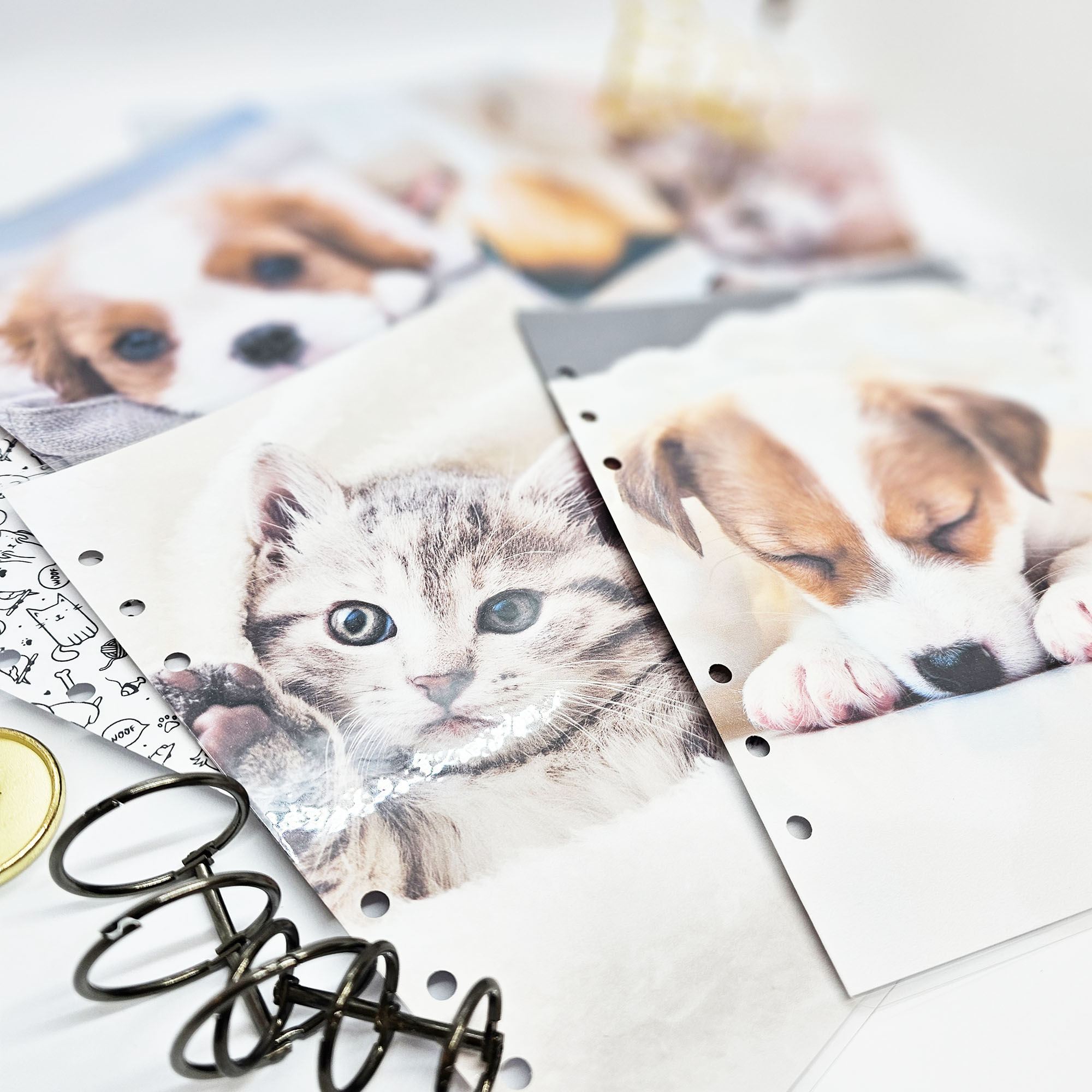 okładka-planera-okładka-pieski-i-kotki-A5 (8)