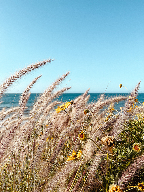 okładka-planera-pory-roku-lato